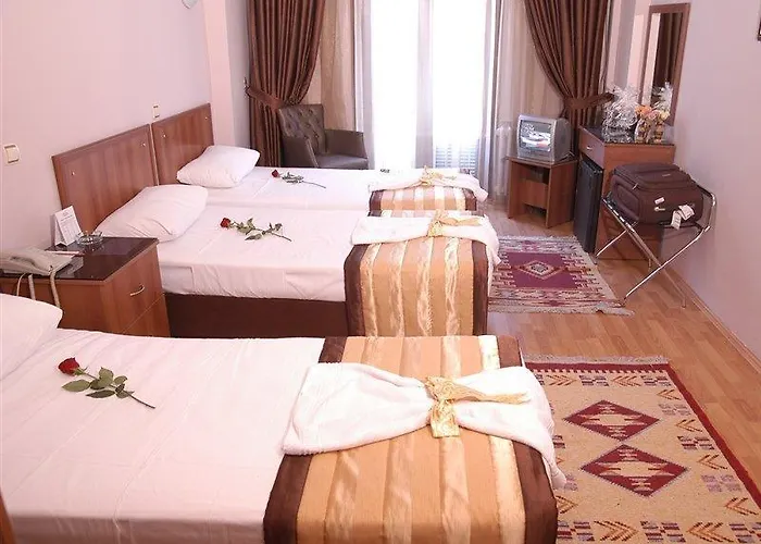 Beyaz Kugu Isztambul