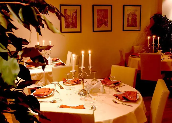 Beyaz Kugu Isztambul