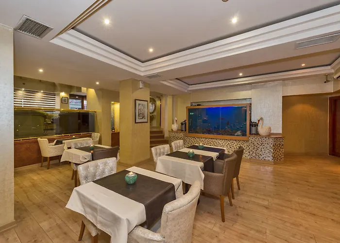 Beyaz Kugu Isztambul